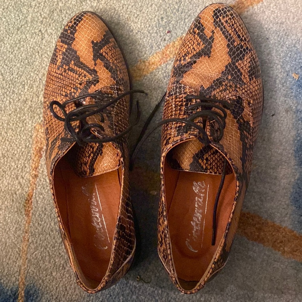 Lintervalle animal print brogues
